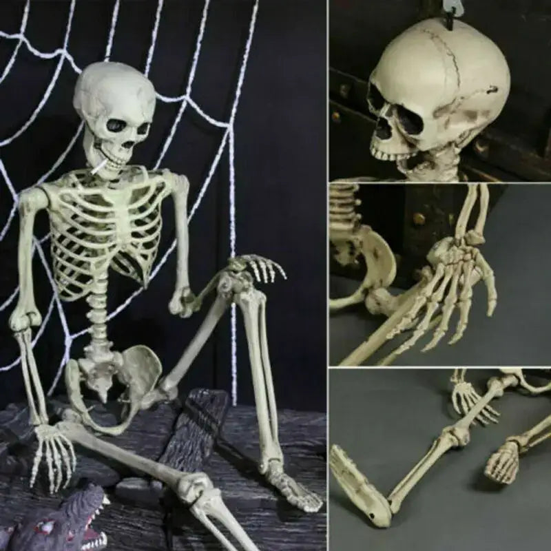 A beige plastic skeleton figure with articulated joints and detailed bone structure, posed sitting on a dark surface.