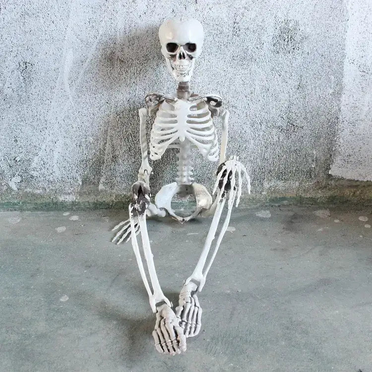 White plastic skeleton with articulated joints and detailed bone structure, seated against a textured gray wall.