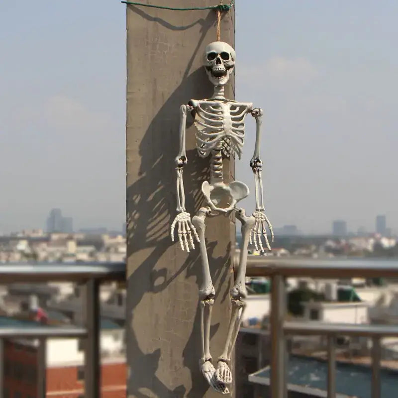 A white plastic skeleton hanging from a rope against an urban backdrop.