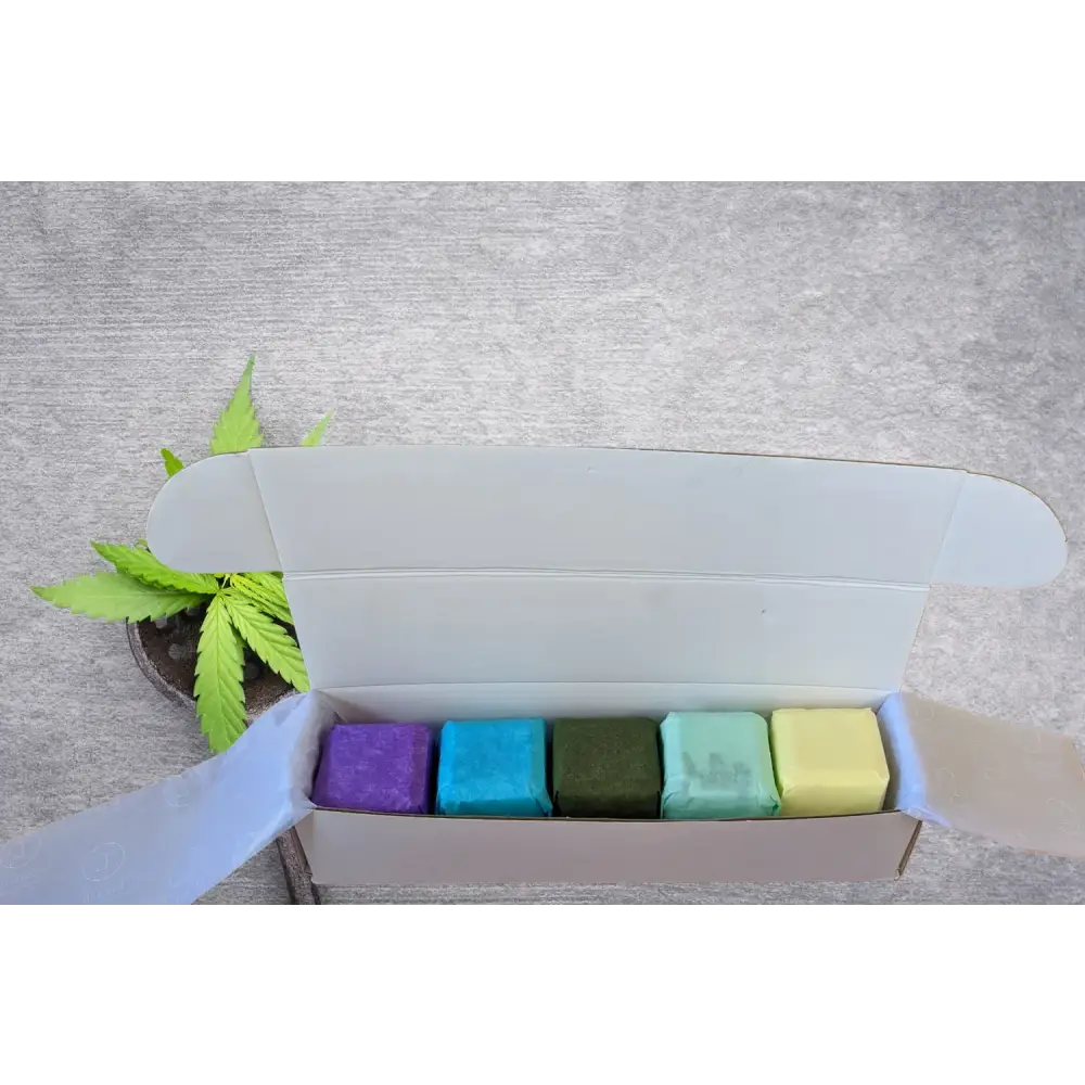 Shower Steamers Gift Set with CBD - 5 Big Fizzies (THC Free)