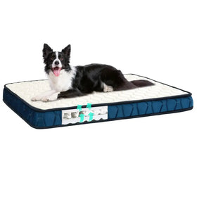 Rectangular dog bed with a white quilted top and navy blue sides, featuring visible internal spring support.