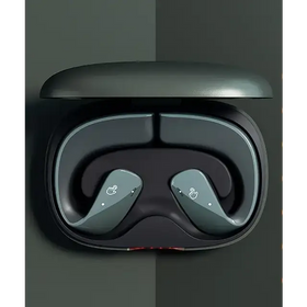 Dark gray wireless earbuds with sleek, ergonomic design nestled in a matching charging case.