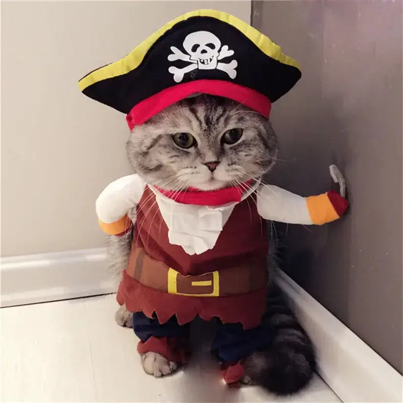 A gray tabby cat dressed in a pirate costume featuring a black tricorn hat with yellow trim and a white skull-and-crossbones emblem, paired with a red vest over blue pants.