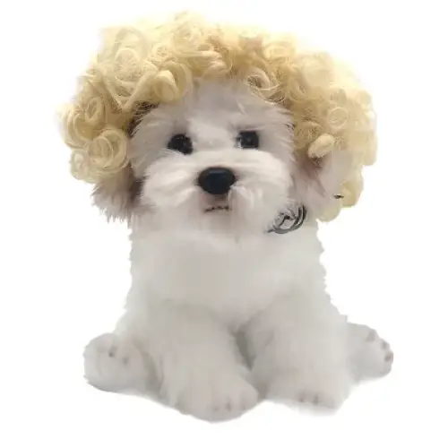 A plush white puppy toy with a curly blonde wig.