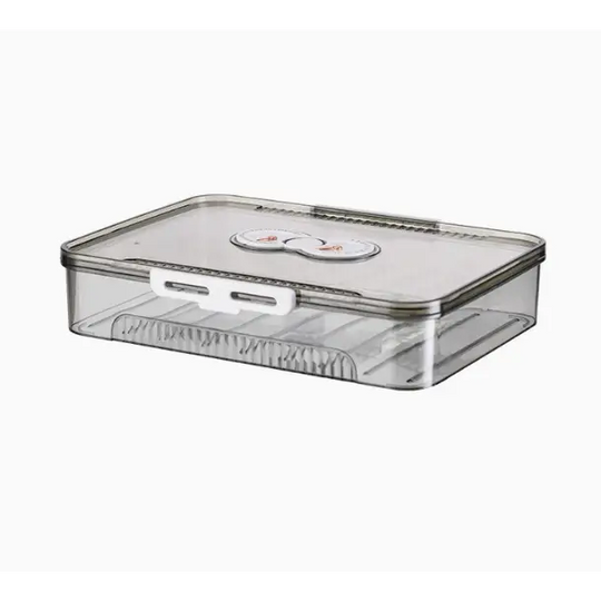 Transparent Dumpling Storage Box