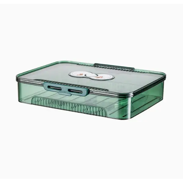 Transparent green plastic storage box with a hinged lid and teal-colored latches.