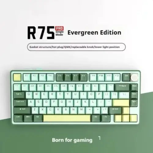 The r75 pro evergreen edition keyboard features a sleek, minimalist design with mint green and dark gray keycaps on a white chassis.